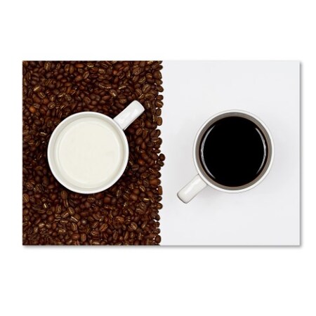 Trademark Fine Art Gert Lavsen 'Yin Yang' Canvas Art, 16x24 1X02470-C1624GG